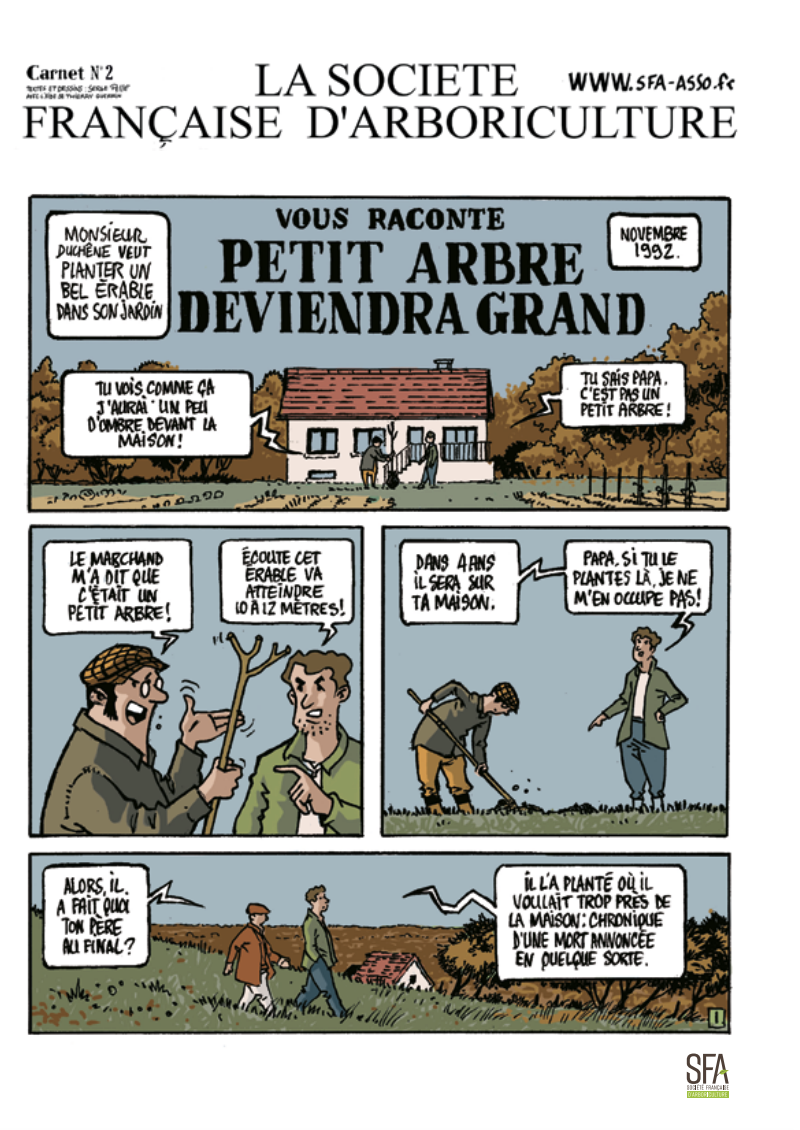 Carnet n°2 - Petit-arbre deviendra grand