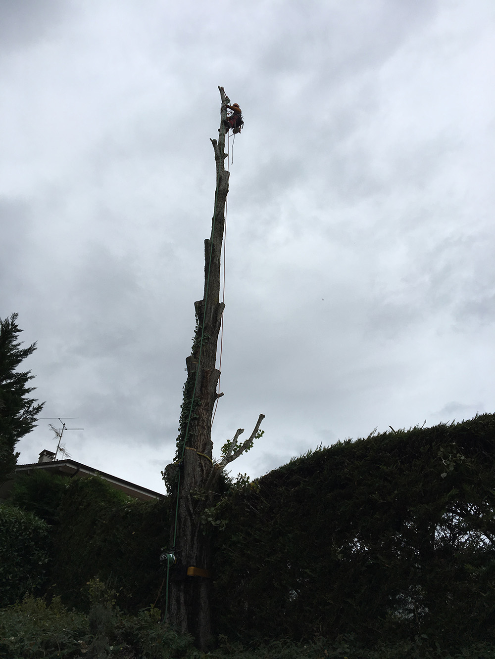 elagage-ardeche-albon-d-ardeche-laseve-demontage2 elagage-ardeche-albon-d-ardeche-laseve-demontage2