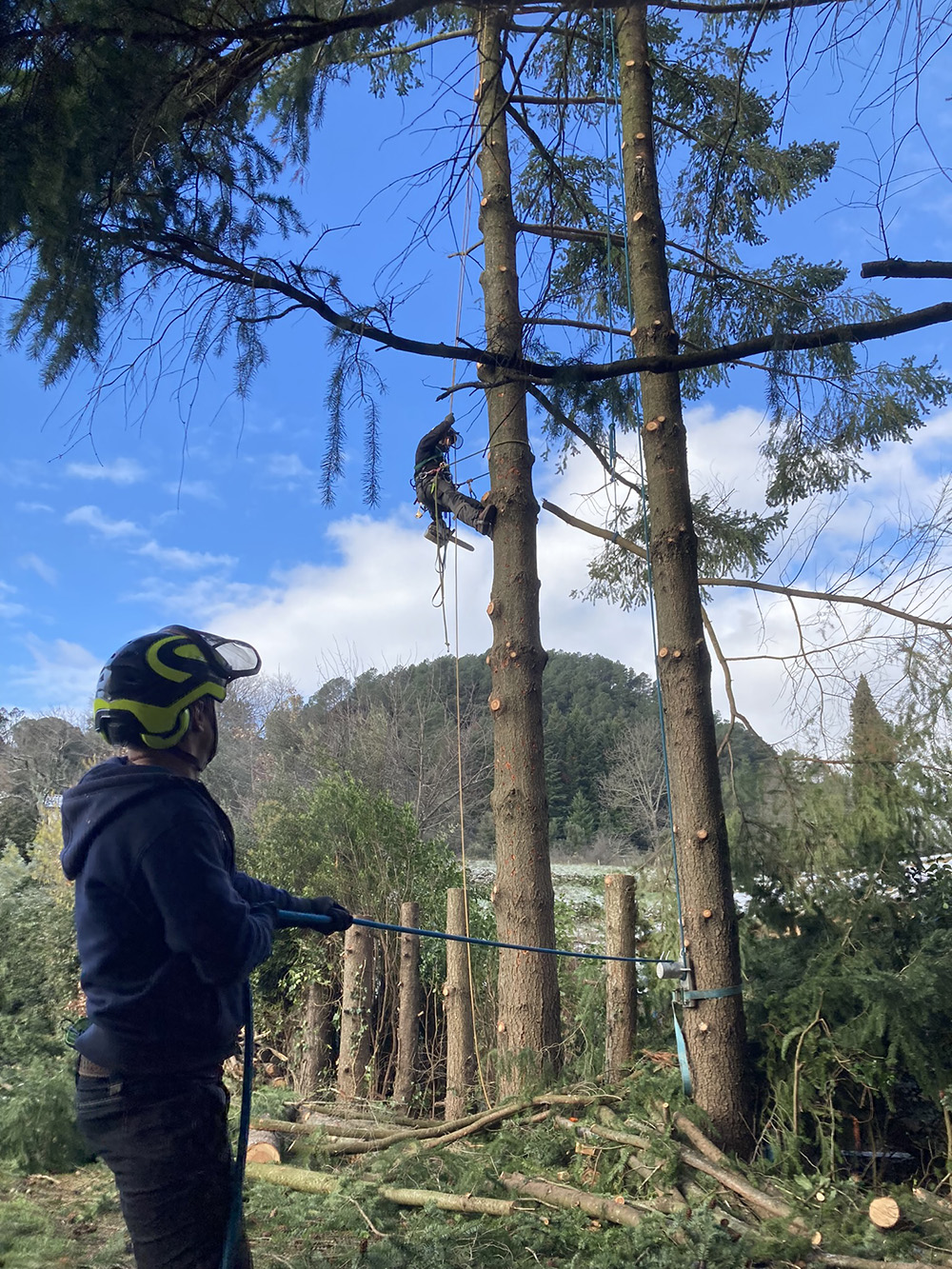 elagage-ardeche-la-seve-duniere-sur-eyrieux-demontage-2 elagage-ardeche-la-seve-duniere-sur-eyrieux-demontage-2