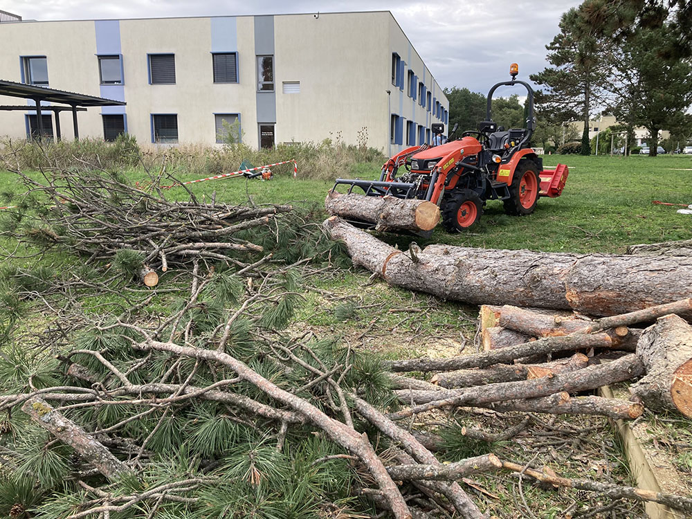 elagage-ardeche-la-seve-duniere-sur-eyrieux-evacuation elagage-ardeche-la-seve-duniere-sur-eyrieux-evacuation