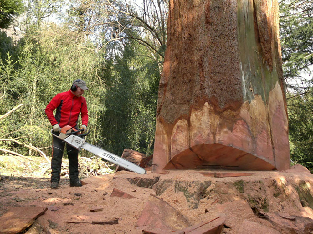 elagage-ardeche-la-voulte-sur-rhone-laseve-abattage elagage-ardeche-la-voulte-sur-rhone-laseve-abattage