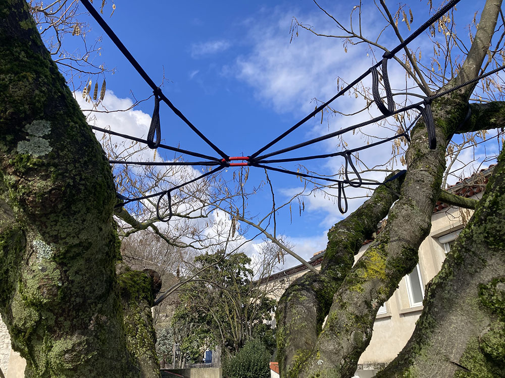 elagage-ardeche-le-pouzin-laseve-haubannage elagage-ardeche-le-pouzin-laseve-haubannage